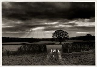 Evening in my village, Somerset, 2008. Photo by Don McCullin