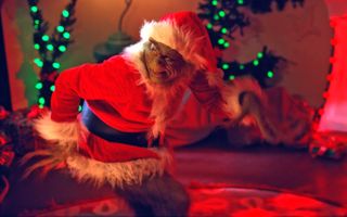 How the Grinch Stole Christmas (2000)