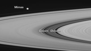 Saturn's 250-mile-wide (400 km) moon Mimas pulls the A ring and B ring apart. Mimas orbits Saturn once every 22 hours. At the location in the ring plane where material is orbiting at about half Mimas' speed, a 2:1 gravitational resonance "rings," tending to push or pull particles inward or outward, clearing a band of relatively fewer flecks. This is the cause of the darker ribbon seen between the main rings. This "Cassini Division" was named after 17th-century astronomer Giovanni Domenico Cassini.