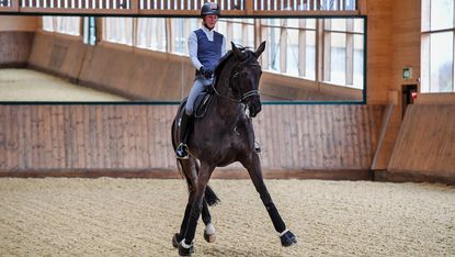 AAA with Laura Tomlinson Rose of Bavaria at her yard; Cranmore Farm, near Tetbury in Gloucestershire in the UK, on the 17th March 2020