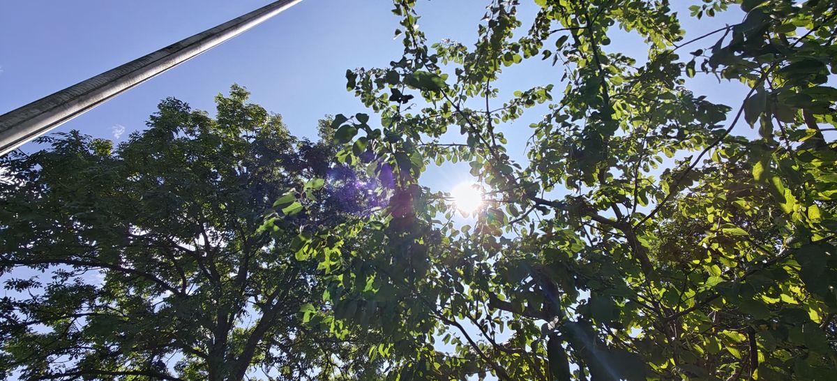 realme 16 Pro+ photo sample