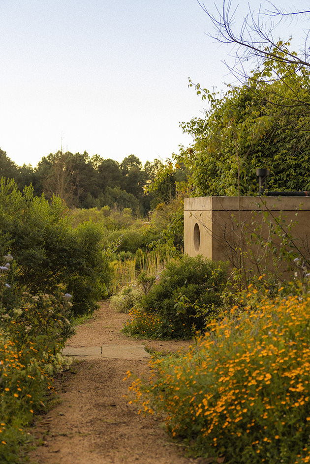 leafy landscape architecture by estudio ome with small buildings featured and yellowish tinge