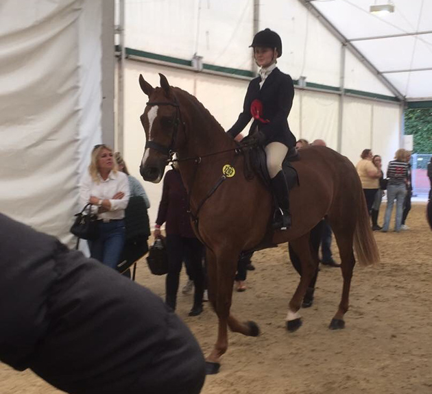vlpic1-2.jpg