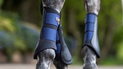 LeMieux-brushing-boots-lifestyle.jpg