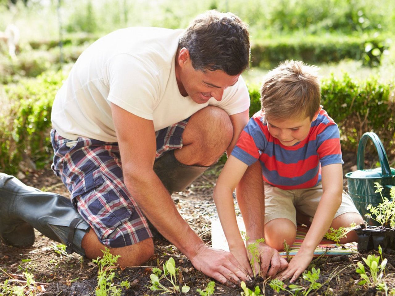 Man And Boy Planting In The Garden