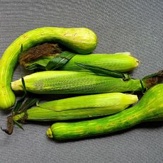 a variety of fresh summer zucchini squash and corn on gray background
