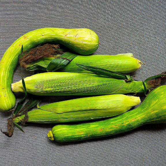 a variety of fresh summer zucchini squash and corn on gray background