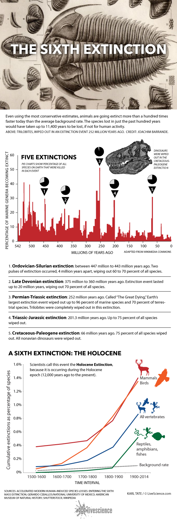 Here S More Proof Earth Is In Its 6th Mass Extinction Live Science