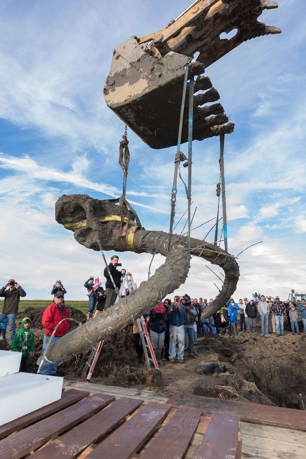 Ice Age Mammoth Bones Discovered on Michigan Farm | Live Science