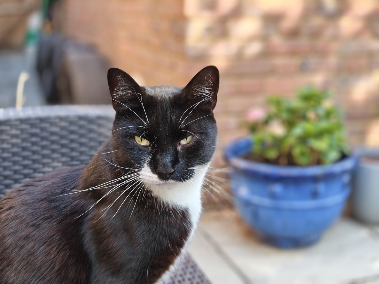OnePlus Nord 5 camera samples