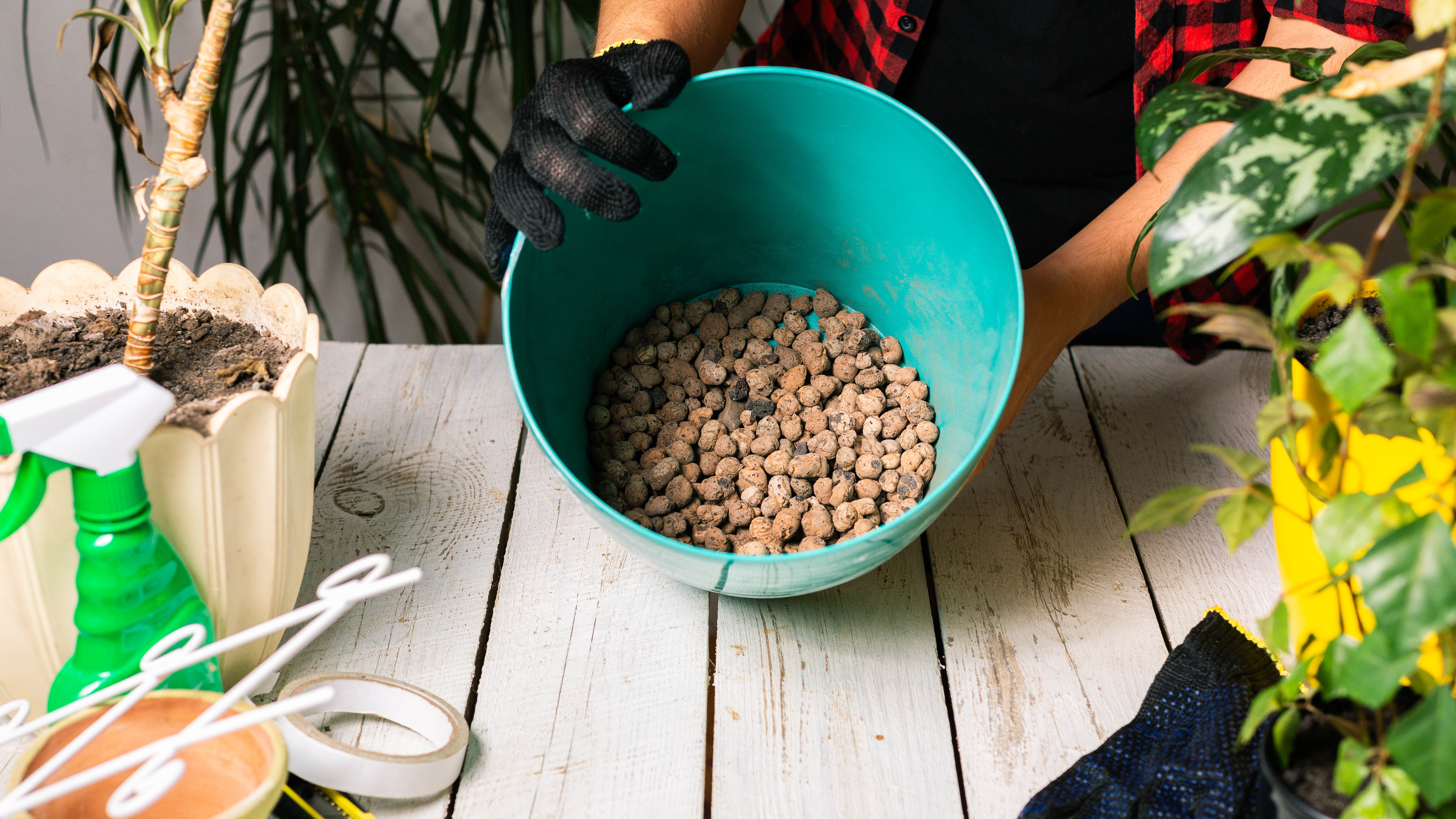 Stones in a pot to drain the soil