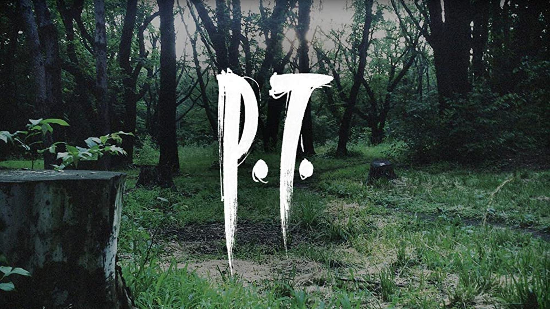 P t