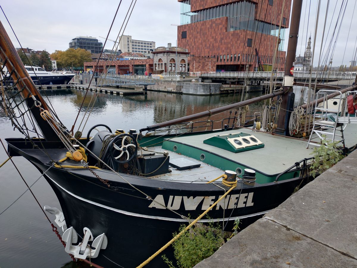 Voorbeeldfoto Sony Xperia 10 VII