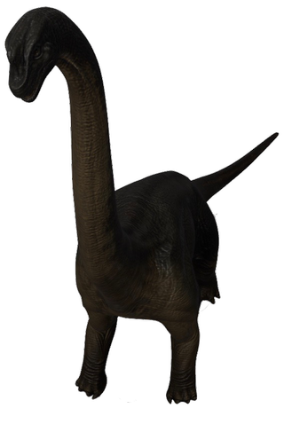 Brachiosaurus Google Search 3D model