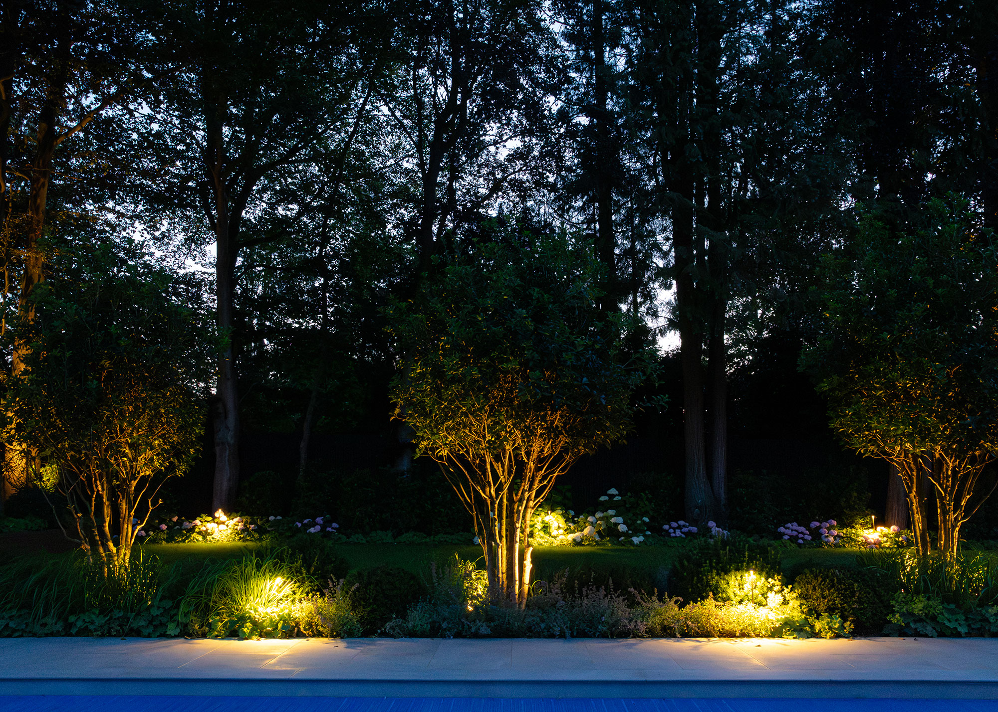 garden lighting with uplight shrubs