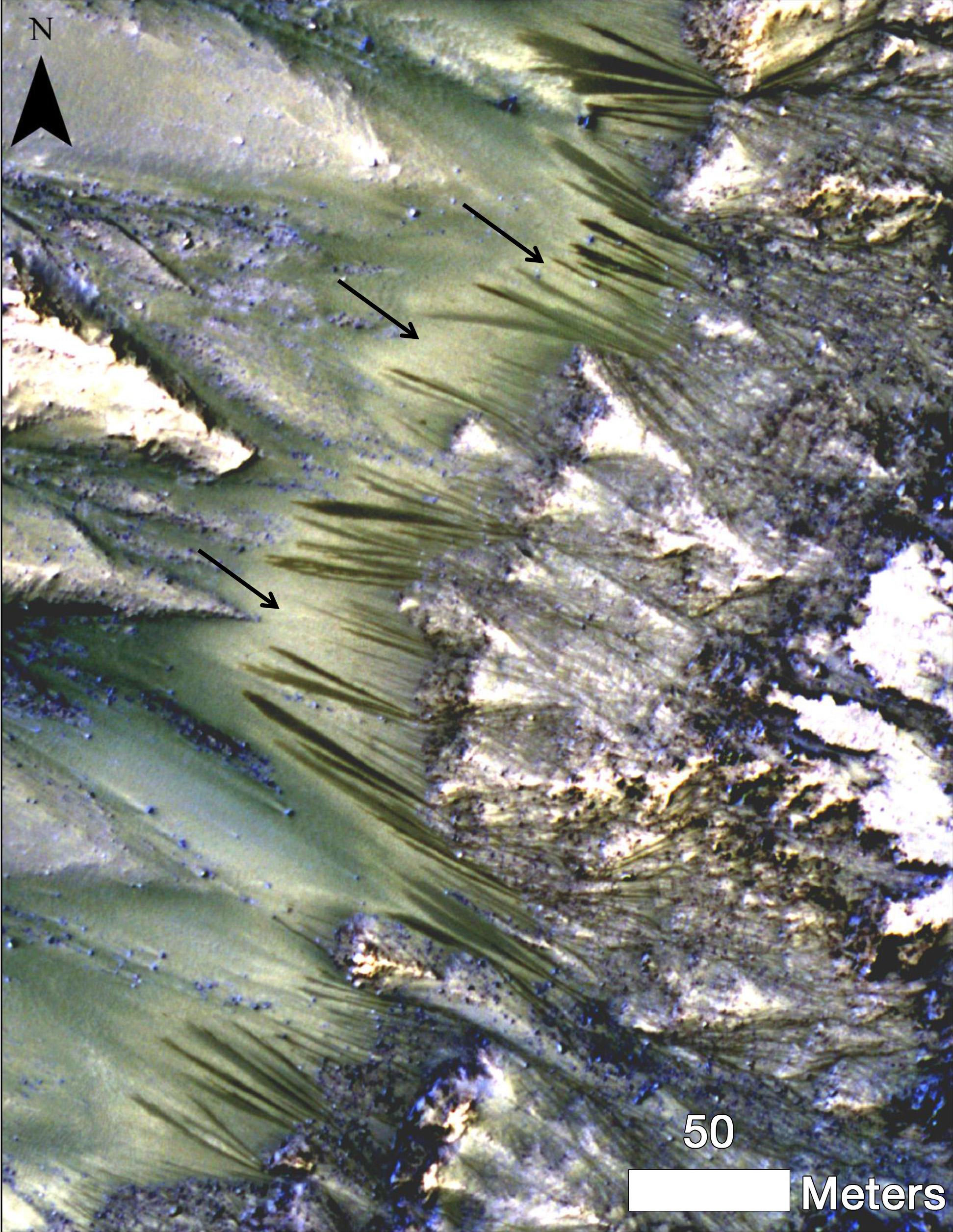 Dark, seasonal flows emanate from bedrock exposures at Palikir Crater on Mars in this image from the High Resolution Imaging Science Experiment (HiRISE) camera on NASA's Mars Reconnaissance Orbiter. Three arrows point to bright, smooth fans left behind by flows. This image was taken on June 27, 2011 and released on Feb. 10, 2014.