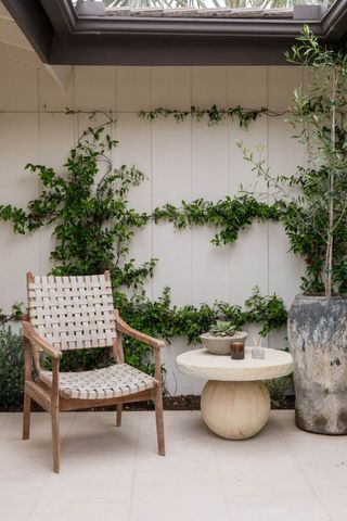 a neutral paved patio area with a cream outside chair, table and large plant pot with climbing plants in the background