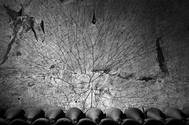 Erwin Olaf captures images of Ruinart&rsquo;s UNESCO World Heritage Site-classified cellars