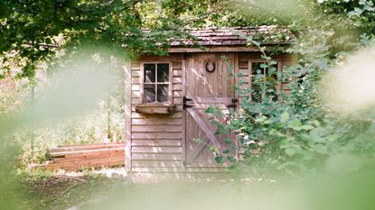 A garden shed in a lush green garden