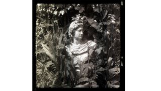 Photo of a statue surrounded by leaves taken on the Nemrod Siluro camera