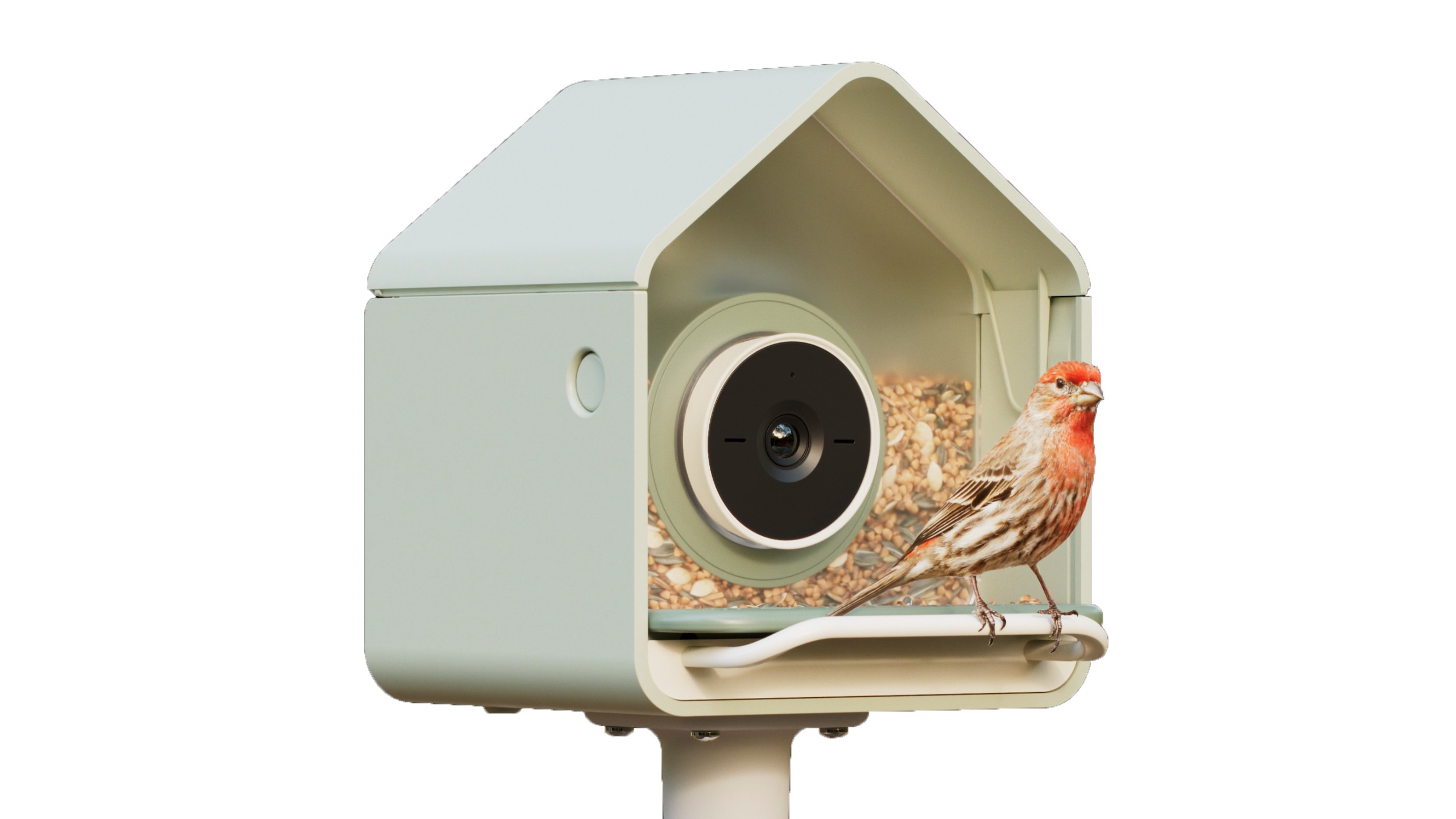 BirdBuddy Nook smart bird feeder
