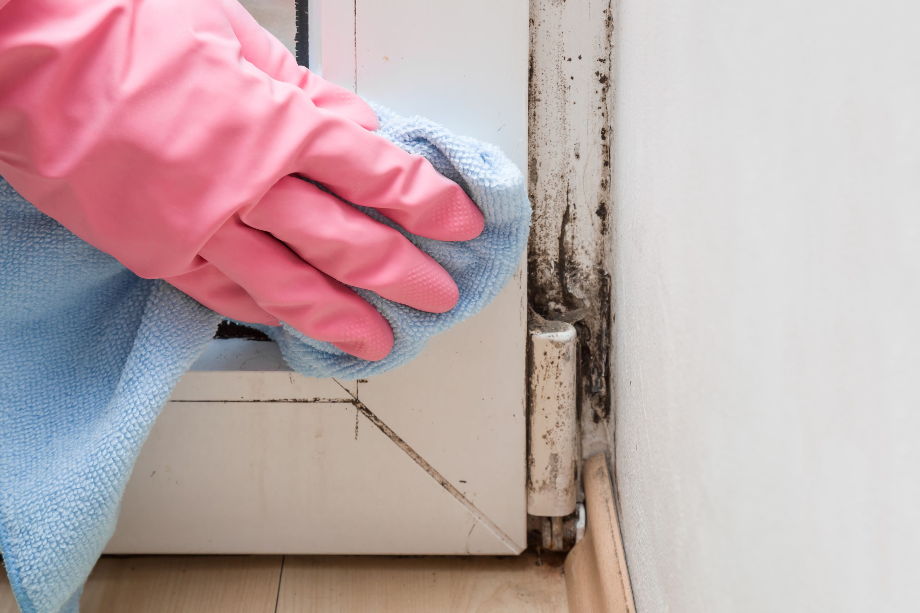 Cleaning Moldy Windows including Glass, Sill, or Frame