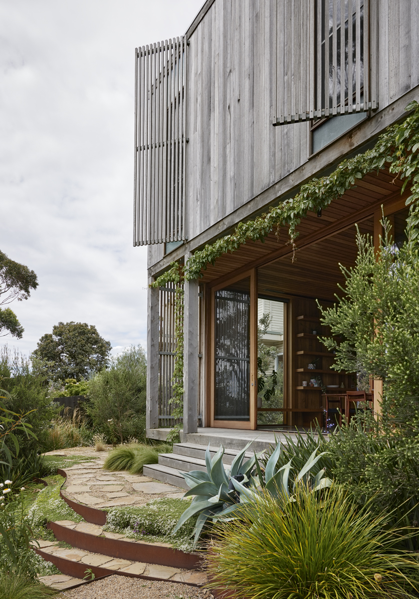 Timber home leading to stepped garden with naturalistic planting, corten steel steps and creeping ground cover