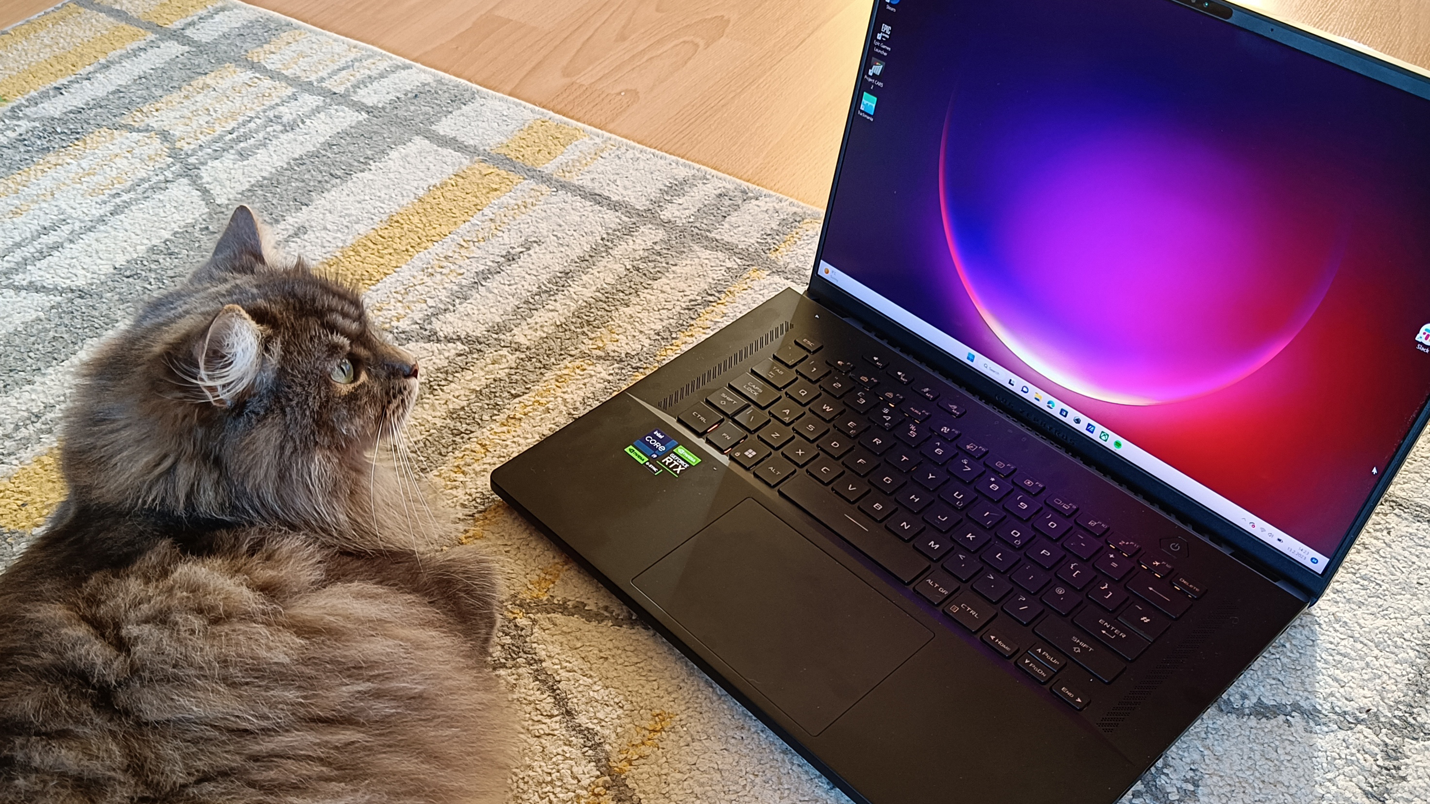 An ASUS ROG Zephyrus M16 gaming laptop sitting on a rug in front of a grey lying cat