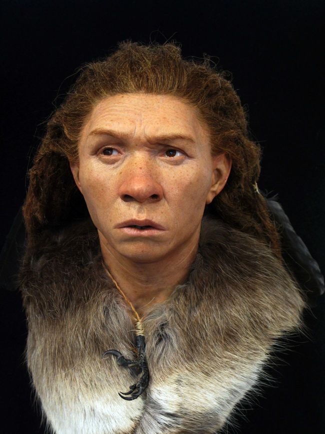 Faces Re-Created of Ancient Europeans, Including Neanderthal Woman and ...