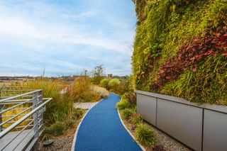 schwalbe headquartes in germany and its garden roof top