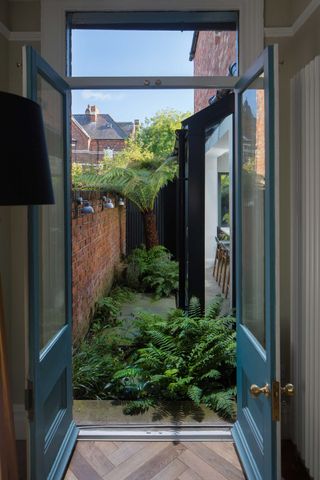 side garden with ferns and lighting