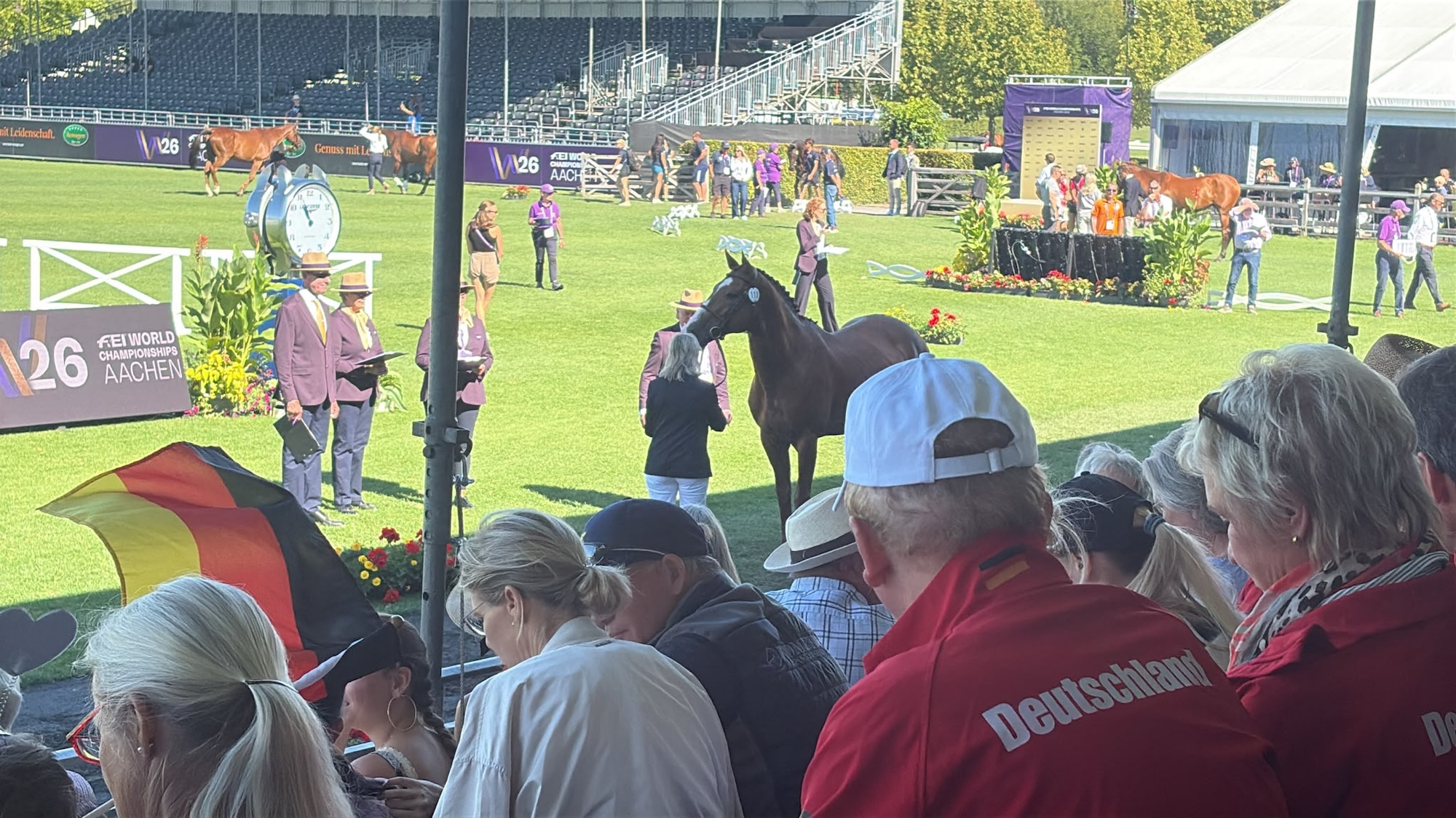 Belgian team horse standing at horse inspection in Aachen world championships