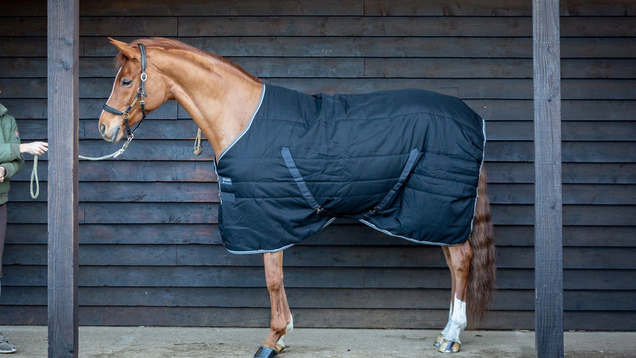 Horseware Rambo Original Stable Rug review