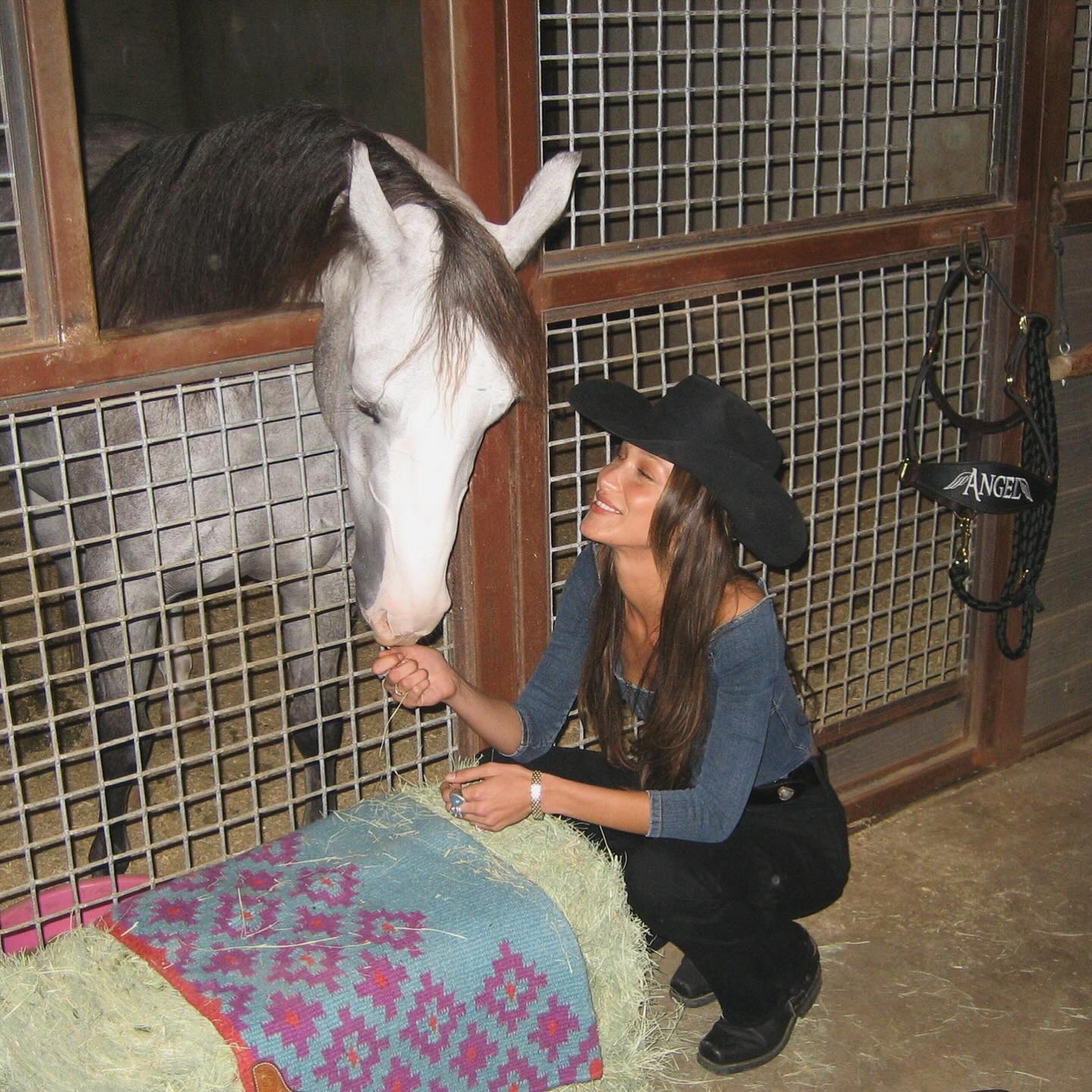 Bella Hadid crouching next to a white horse wearing a cowboy hat with shiny brunette hair