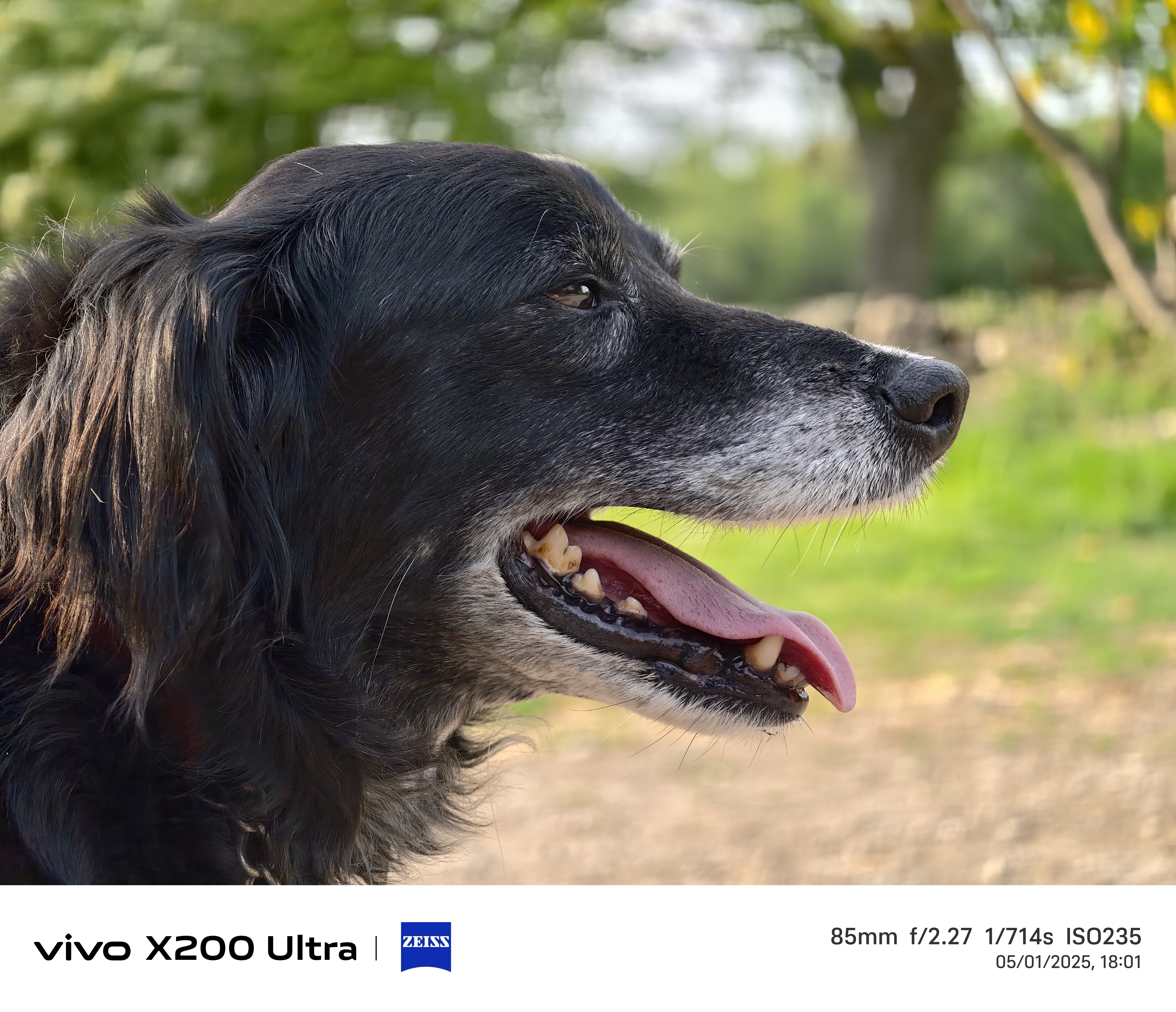 Vivo X200 Ultra camera samples