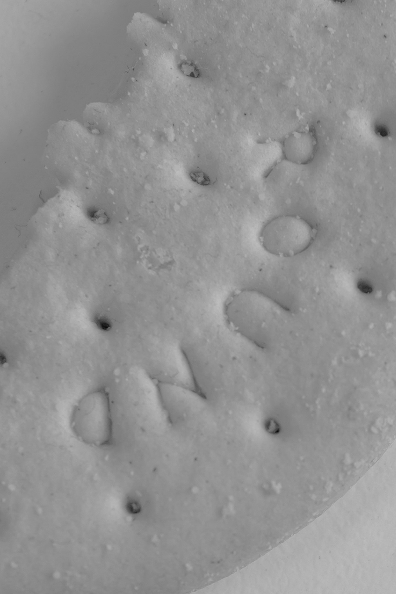 Leica Q3 Monochrom vs Leica Leitzphone macro comparison