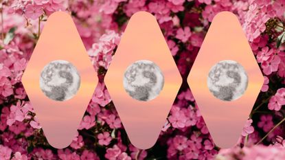 full moons on a pink floral background
