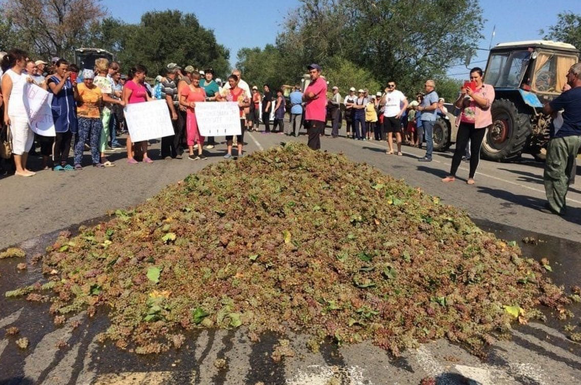 Ukraine winemaker protest