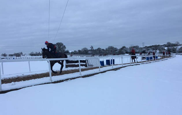 Dan Skelton