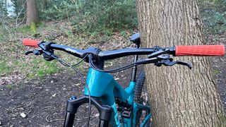 A mountain bike leaning on a tree
