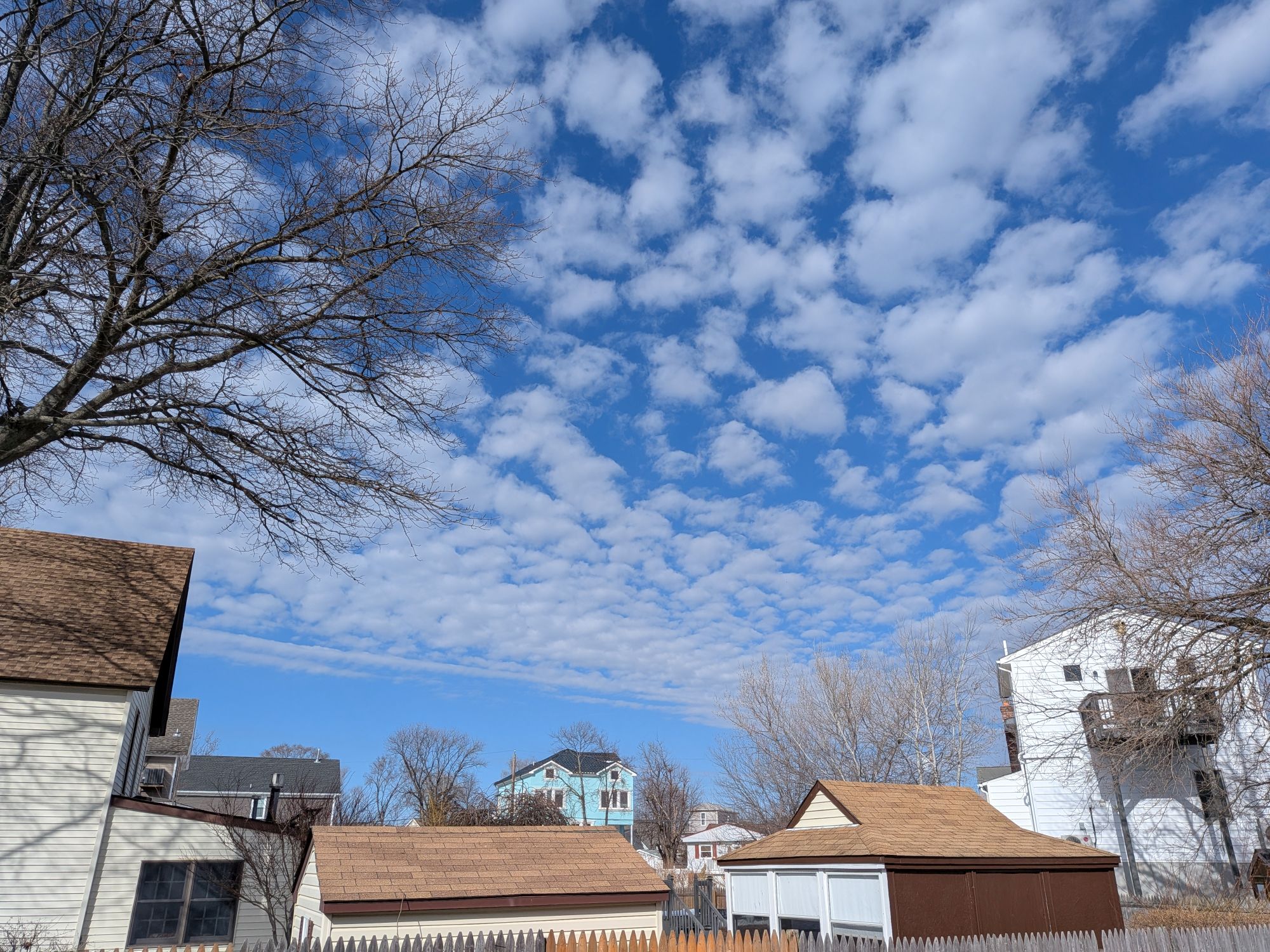 Google Pixel 10a camera sample.