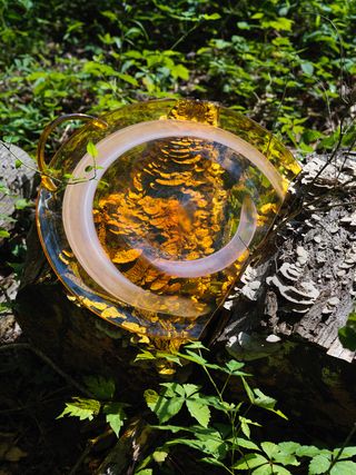Amber coloured glass plate by Dana Arbib