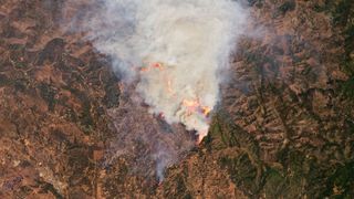 An image captured by NASA's Landsat 9 satellite reveals the extent of the area burnt by the Oak Fire near California's famous Yosemite National Park.