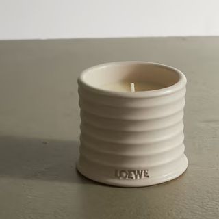 A white oregano candle