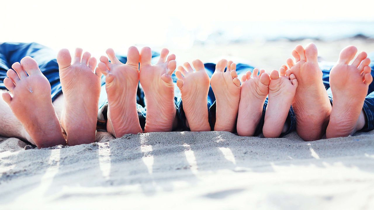 Five set of feet are seen, belonging to a family lying on the beach.