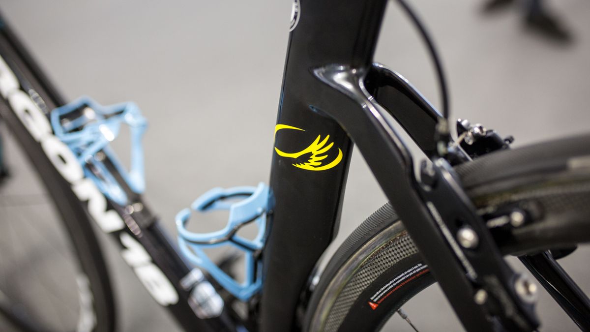 A look at the seatstays and seattube shape