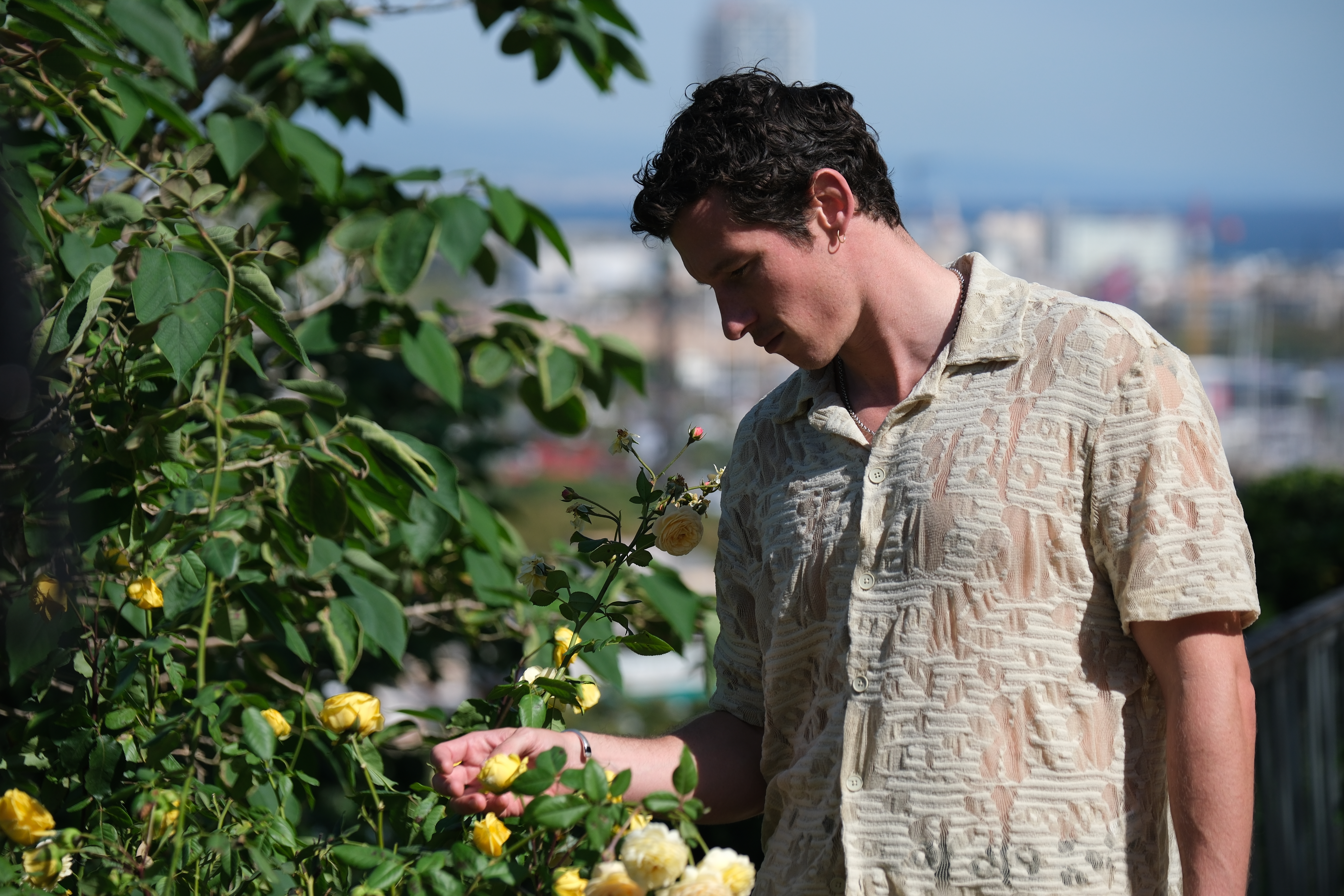 A young man in a short-sleeved patterned collar shirt in pale gray and nude inspects a bush of roses touching them with his right hand and starting down at them.