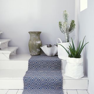 stairway with white wall and plants.