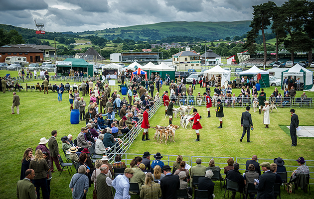 A view across the showground during the judging of the two couple of doghounds class in the English foxhound ring