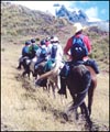 06.02Peru-riding_up_hillth.jpg